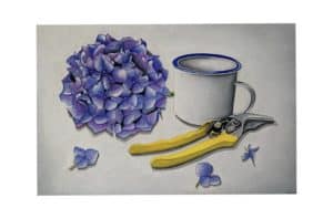 “Gardeners Coffee Break” le  Jenny McCarthy