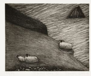 “Blasket Sheep ’82” le Maria Simmonds-Gooding