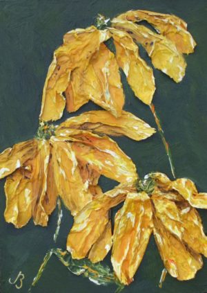 “Rudbeckia Heliopsis” le Julie Beckett
