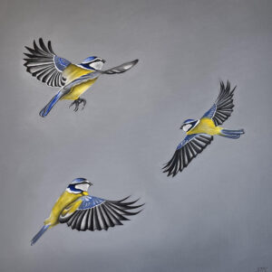 3 blue tits le Jenny McCarthy