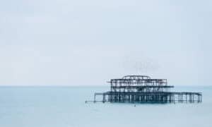Birds, Brighton le Colm Ó Gráda