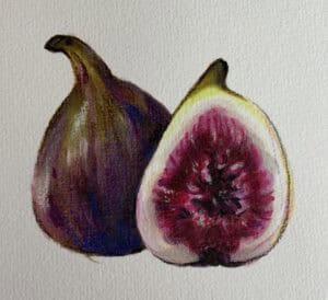 Figs le Niamh Herkommer