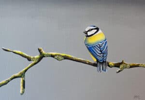 Serene Perch le Jenny McCarthy