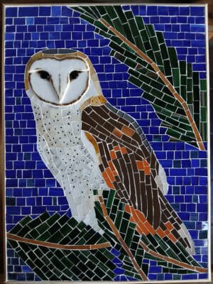 Barn Owl le Heiko Rolff