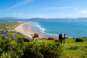 Inch Strand le Michael Kennedy