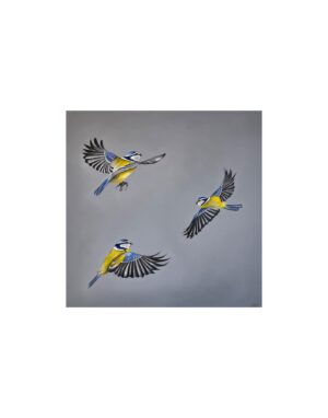 3 Blue Tits le Jenny McCarthy