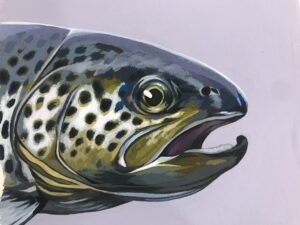 Trout le Niamh Herkommer