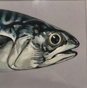 Mackerel le Niamh Herkommer