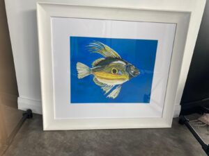 John Dory le Fran Fogarty