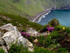 An Sás le Noel O Neill