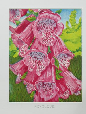 Foxglove le Julie Beckett