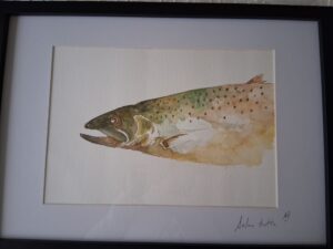 Salmon Trutta le Sean O’Riordan